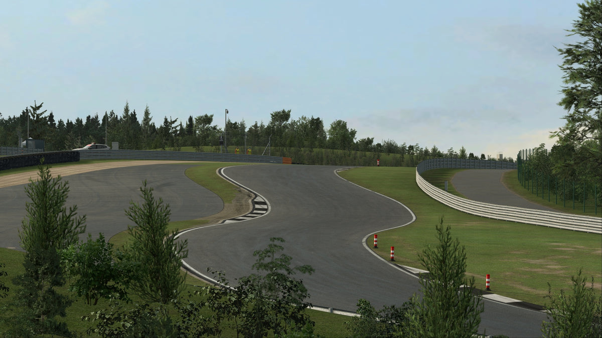 Cupra Leon Competicion for Bilster Berg GS