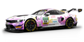 Ford Mustang GT3 EVO Watginsglen GP with Inner Loop